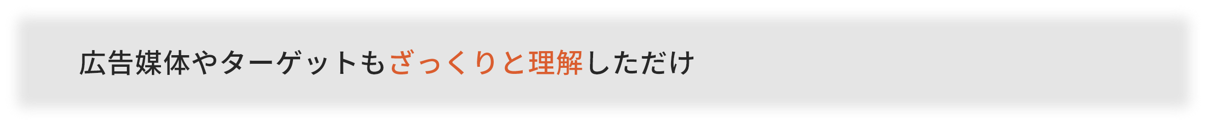 広告媒体やターゲットもざっくりと理解しただけ